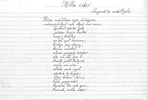 Orrialdea handiago ikusteko